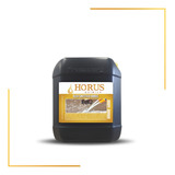 Horus