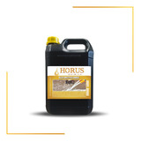 Horus