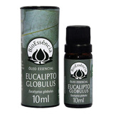 Óleo Essencial Eucalipto Globulus Bioessência - 10ml