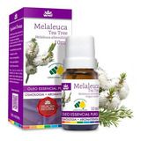 Oleo Essencial Melaleuca Tea