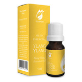 Oleo Essencial Ylang Ylang