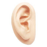 Auricular