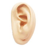 Orelha De Silicone Esquerda P/ Acupuntura Terapia Auricular