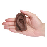 Auriculoterapia