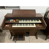 Orgao Minami 1979 