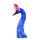 Pavão