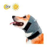 Oto Protector Plus Cães Pet Med - N° 1