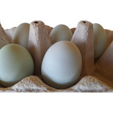 Ovos