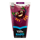 Pack Del Valle Kapo Uva Tp 200ml 12 Unidades