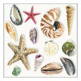 Pacote Com 20 Guardanapos 33x33cm De Papel Shells Fsc Mix