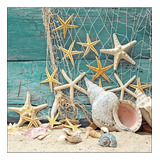 Pacote Com 20 Guardanapos 33x33cm De Papel Starfish Fsc Mix