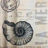 33x33cm