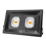 100w