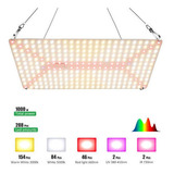 Painel Led Quantum Board 288pcs Chip Samsung Lm281b R$288!!