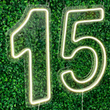 Painel Neon Numero 15 Instagram Iluminação