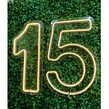 Painel Neon Numero 15 Instagram Iluminação