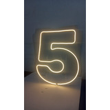 Painel Neon Numero 5 Festa Instagram Iluminação Branco 50cm