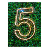 Painel Neon Numero Cinco 5 Instagram
