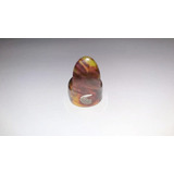 Palheta Dedeira Unheira Shell Planet Waves D'addário