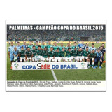 Palmeiras - Campeão Copa Do Brasil 2015 [30x42cm]