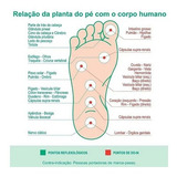 Palmilha Magnética Carvão Ativo Técnica Oriental Terapêutica Tamanho Da Palmilha 41/43