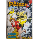 Pânico N° 4 - Maio De 1979 - Rio Gráfica Editora 