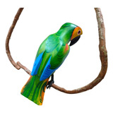 Papagaio De Madeira Pp - Jardim