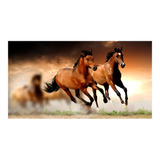 Papel De Parede Cavalos 2m² Adesivo Cavalo Corrida S256