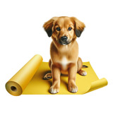 Papel Jornal Sem Impressão Reciclado Pet Com Odor Atrativo