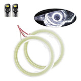 Reator