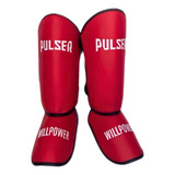 Pulser