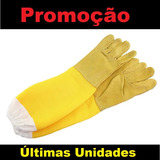 Profissional