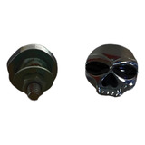 Parafuso De Placa Hd Skull Caveira Harley Davidsom