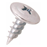 Parafuso Ponta Agulha Para Forro Pvc Drywall 4,2x13 1000 Und