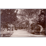Parque Antártica - Gaensly - São Paulo - 18062201