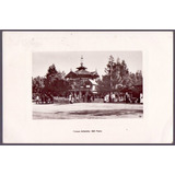 Parque Antártica - São Paulo - 19121821