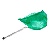 Pesca