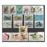 Pássaros Brasileiros - Coleção De Selos Novos - 3116