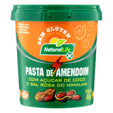 Pasta De Amendoim Com Açúcar De Coco E Sal Rosa Do Himalaia Integral Natural Life Pote 450g