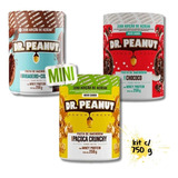 Pasta De Amendoim Dr. Peanut 250gcom Whey - Kit C 3 Sabores