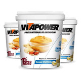 Pasta De Amendoim Integral Vitapower Blank Protein 450g