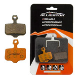 Alligator