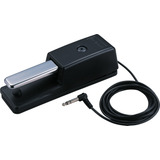 Pedal Dp-10 Sustain - Dp10 Roland Boss Com Nota Fiscal