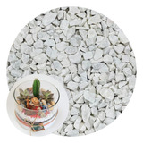 Pedra Branca Ornamentais Pedrisco Natural Vasos