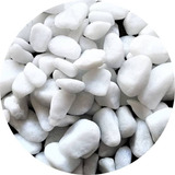 Pedras Decorativas 10kg Seixo Branco Canteiros