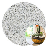 Pedras Decorativas Granilha Branca Jardim Vaso