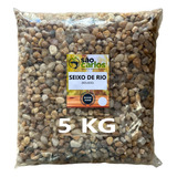 Pedrinha Natural De Rio P Jardim Vaso Cacto Suculentas 5kg