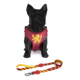 Cachorro