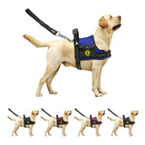 Peitoral Coleira Com Regulagem Guia Para Cães Com Bolso
