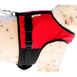 Peitoral E Guia Bull Dog Francês Pug Shitzu Lhasa P